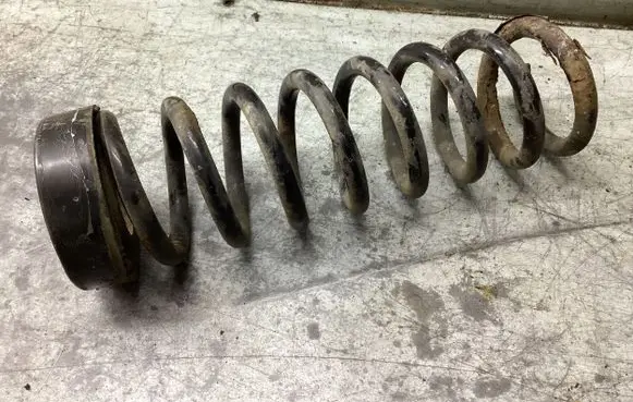 Rear coil spring