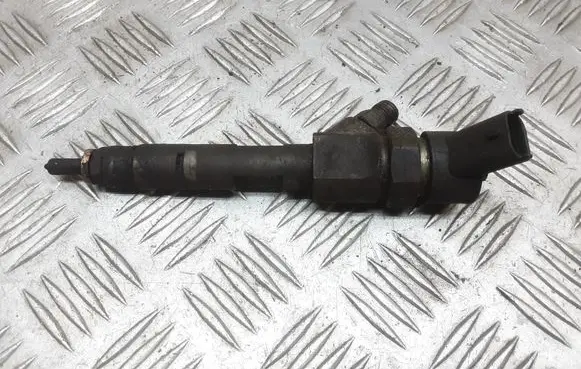 Renault Espace - Grand espace IV Fuel injector 8200100272