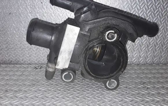 Thermostat/thermostat housing