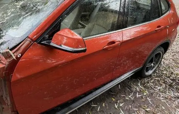 BMW X1 E84 Front door 