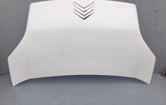 Citroen Nemo Engine bonnet/hood 7901q1