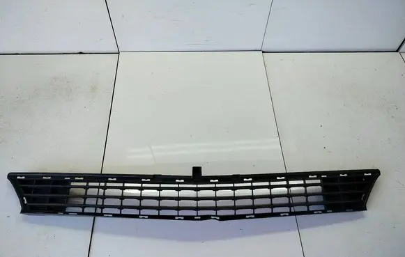 Mercedes-Benz A W169 Front bumper lower grill a1698850123