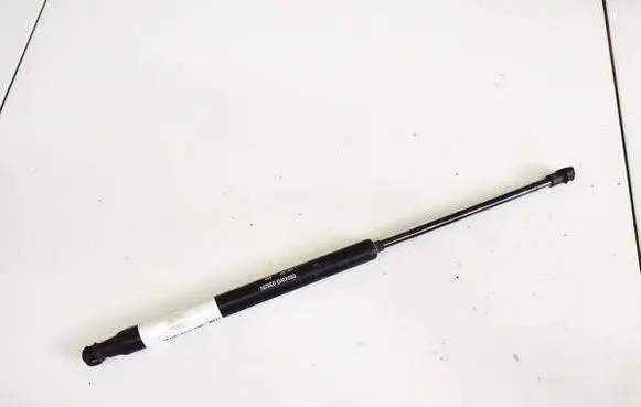 Tailgate/trunk strut/damper