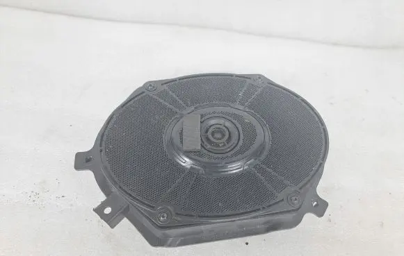 Front door speaker