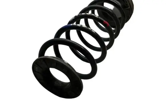 Hyundai i20 (PB PBT) Rear coil spring