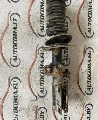 BMW X5 E53 Front shock absorber/damper