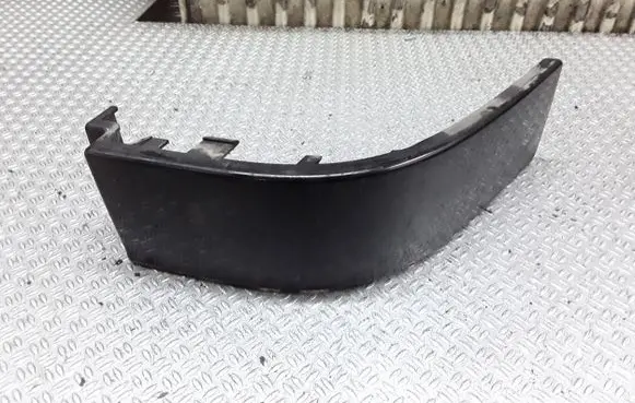 Rear/tail light trim molding