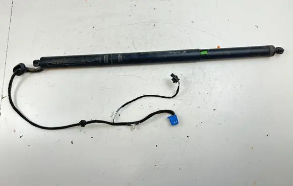 Tailgate/trunk strut/damper