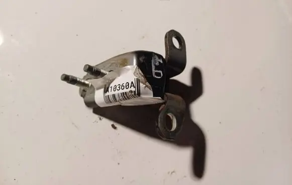 Rear door lower hinge