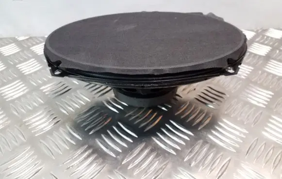 Rear door speaker