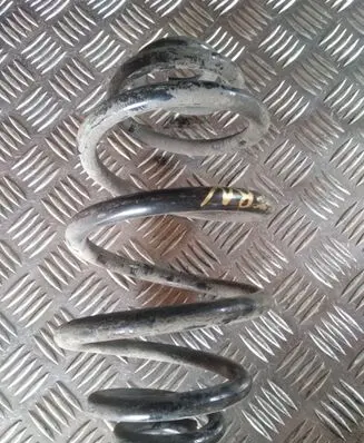 Skoda Superb B5 (3U) Rear coil spring