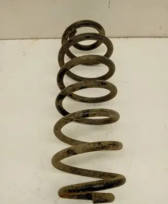 Volkswagen PASSAT B6 Rear coil spring
