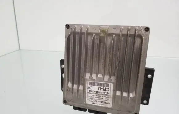 KIA Carnival Engine control unit/module 391024X520 R040C045F
