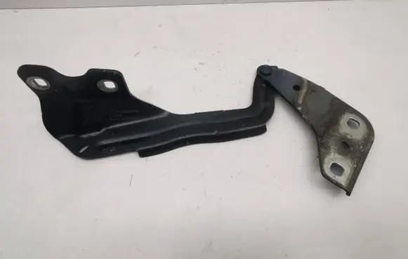 Ford Edge II Engine bonnet/hood hinges FT4BR16800A