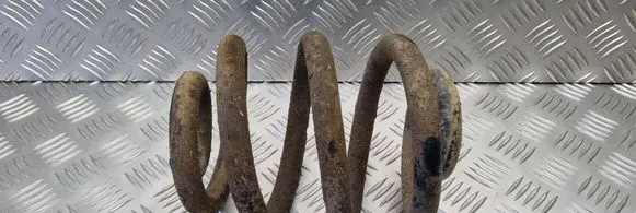 Volkswagen Transporter - Caravelle T4 Rear coil spring