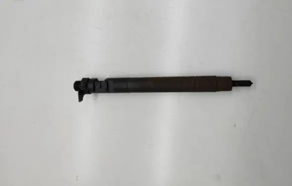 Ford C-MAX II Fuel injector Embr00101d