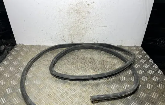 Nissan Qashqai Rear door rubber seal (on body) 