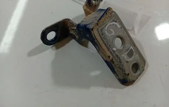 Rear door lower hinge