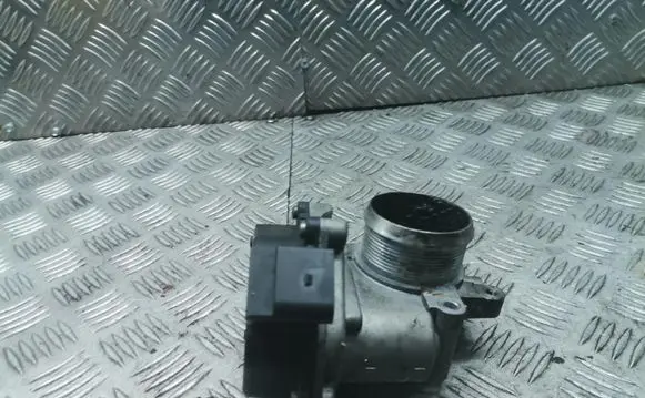 Skoda Octavia Mk2 (1Z) Throttle valve 264601672