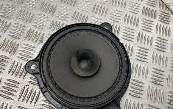 Nissan Juke I F15 Front door speaker f16134a