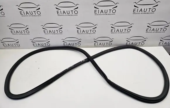 Ford Fusion II Front door rubber seal