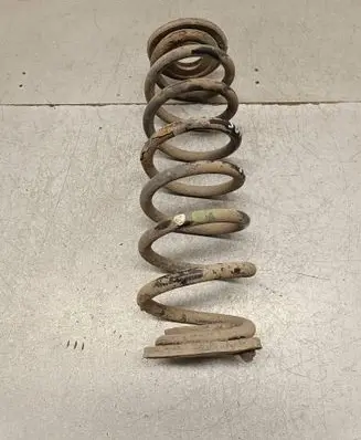 Rear coil spring