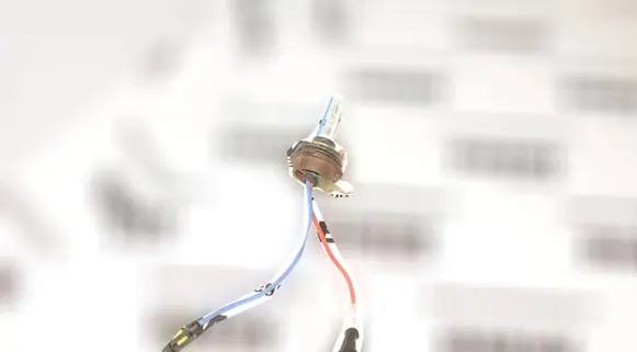 BMW 5 E39 Xenon bulb 