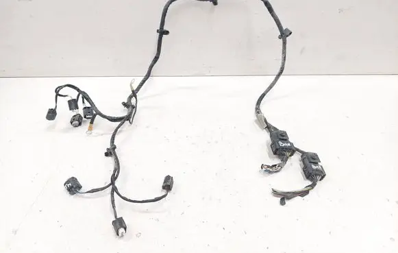Other wiring loom