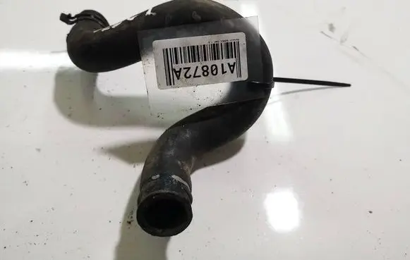 Renault Scenic I Engine coolant pipe/hose 