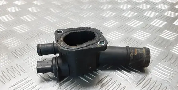 Thermostat/thermostat housing