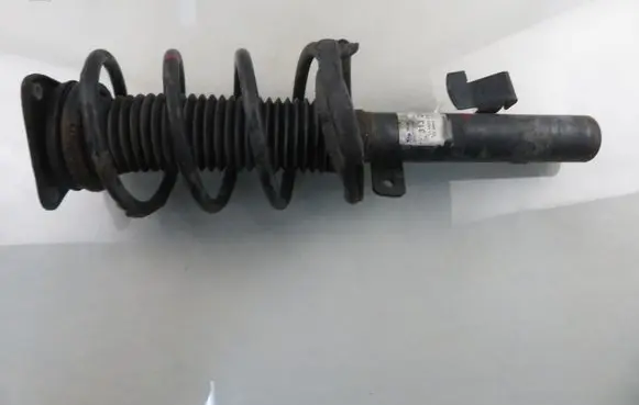 Ford Focus C-MAX Front shock absorber with coil spring