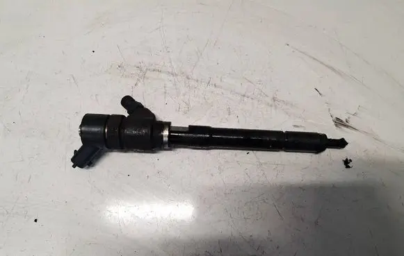 Chevrolet Captiva Fuel injector 0445110270