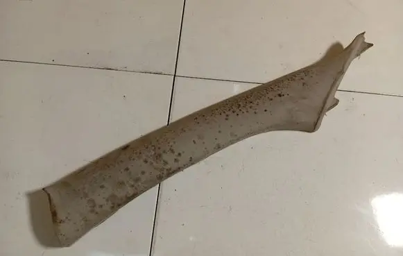 Toyota Avensis T250 (C) pillar trim 221205020