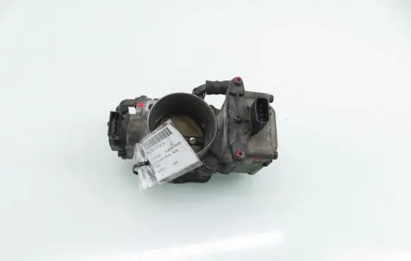 Mitsubishi Pajero Pinin Throttle body valve EAC60005