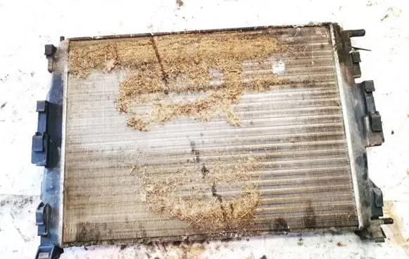 Renault Scenic II - Grand scenic II Coolant radiator