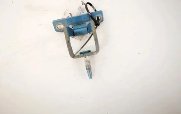 Tailgate/trunk/boot hinge