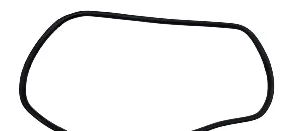 Ford Explorer VI Rear door rubber seal (on body) LB5BS253A18 LB5BS253A18AD 2481