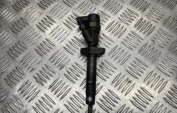 Renault Espace - Grand espace IV Fuel injector 8200084534