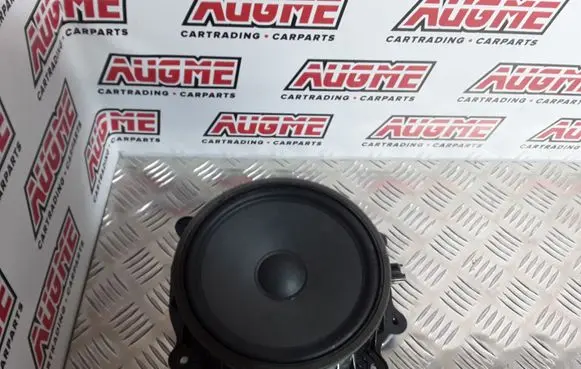Tesla Model 3 Front door speaker 107974400E