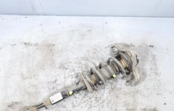 Seat Exeo (3R) Front shock absorber/damper 3R0413031