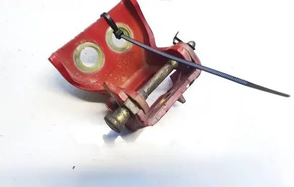Citroen C4 I Rear door lower hinge 