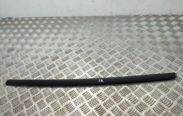 Ford Ecosport Rear door glass trim molding