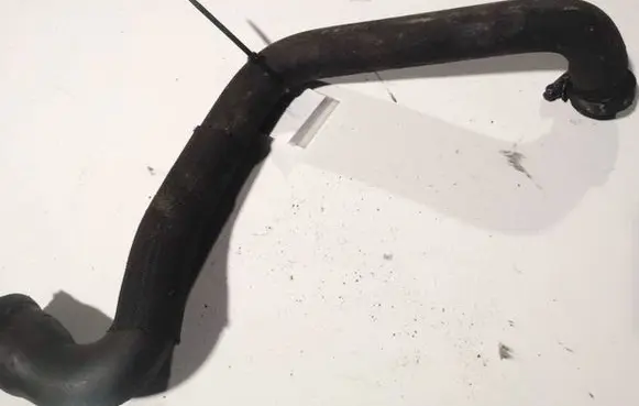 Citroen Berlingo Engine coolant pipe/hose