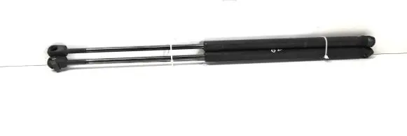 Tailgate/trunk strut/damper