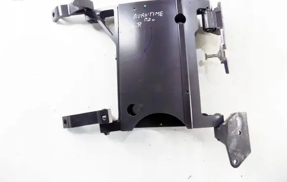 Renault Avantime Front door hinges set 
