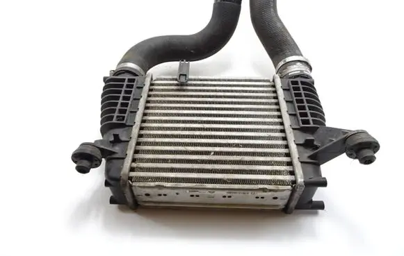 Nissan Juke I F15 Intercooler radiator 14461EM00A