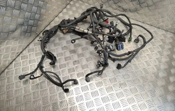 Nissan Juke I F15 Engine installation wiring loom