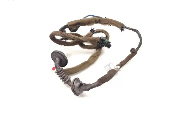 Chevrolet Aveo Rear door wiring loom 96826877
