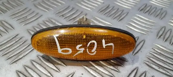 Front fender indicator light