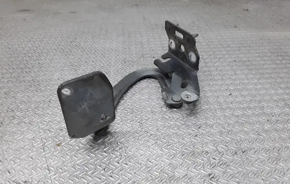 Peugeot 1007 Engine bonnet/hood hinges